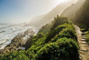 Tsitsikamma: Zipline Experience & Storms River Mouth Tour