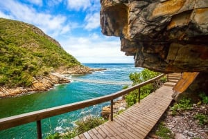 Tsitsikamma: Zipline Experience & Storms River Mouth Tour