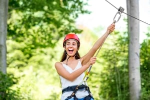 Tsitsikamma: Zipline Experience & Storms River Mouth Tour