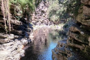 Wilderness: Full Canyon Tour