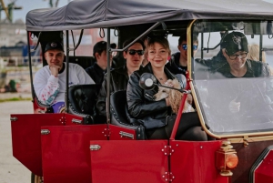 60 min of sightseeing in retro cars, Gdansk