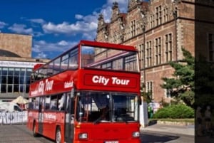 Tour de ville de Gdańsk avec visite à arrêts multiples et visite à pied