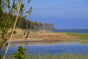 Tour privato del sentiero di Copernico a Frombork da Danzica in auto
