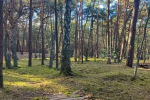 Esplora l'isola di Sobieszewo: Passeggiata nella natura e tour della fauna selvatica
