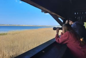 Entdecke die Insel Sobieszewo: Naturrundgang & Wildtiertour