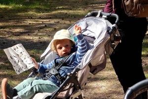 Entdecke die Insel Sobieszewo: Naturrundgang & Wildtiertour