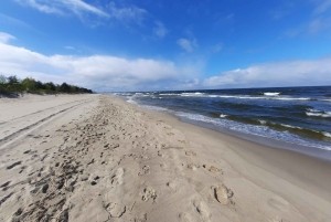 Entdecke die Insel Sobieszewo: Naturrundgang & Wildtiertour