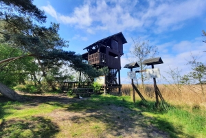 Entdecke die Insel Sobieszewo: Naturrundgang & Wildtiertour