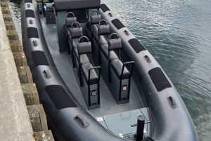 SCHNELLE FAHRT VON SOPOT NACH HEL, 2 WEGE UND STOPP IN HEL INBEGRIFFEN