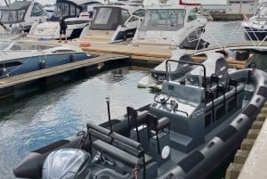 Szybka przejażdżka z Sopotu do Helu w obie strony z przystankiem w Helu wliczona w cenę