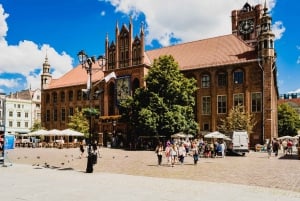 Visite touristique de Torun - Excursion d'une journée à partir de Gdansk