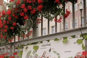 Gdańsk: Passeio de barco no rio Motława