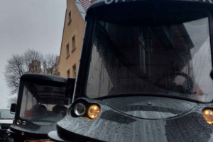 Danzig: Stadtführung mit dem Golfwagen LIVE GUIDE 60 min