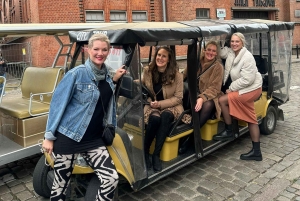 Danzica: tour della città in golf cart con vin brulé