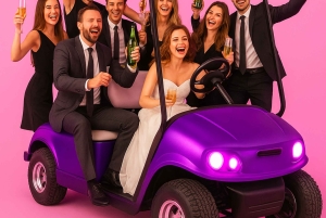 Gdansk: Tour guiado na cidade em carro de golfe, partilhado ou particular