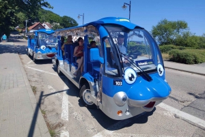 Gdansk: City Tour Golf Cart Main & Old City Sightseeing Tour