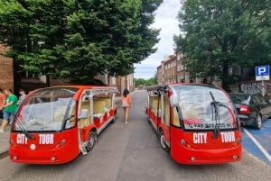 Gdansk: City Tour Sightseeing Golf Cart Main City District