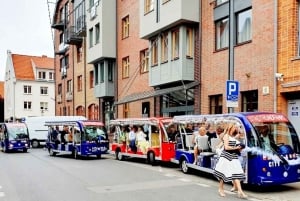 Gdansk: Byrundtur med guide i elektrisk golfvogn