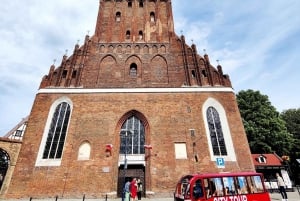 Gdansk: City Tour with Guide by Electric Golf Cart