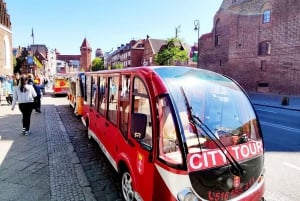 Danzica: Tour della città con guida in carrello da golf elettrico