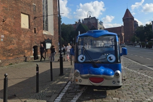 Gdansk: Gdansk varv med Gradowa-kullen med golfbil