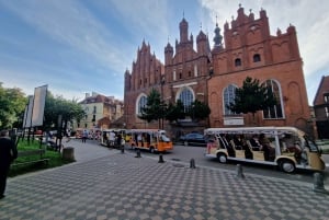 Gdansk : visite touristique partagée ou privée en voiturette de golf