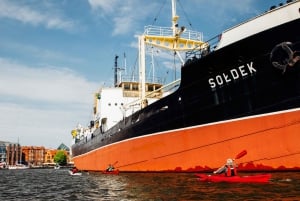 Danzig: Geführte Kajaktour