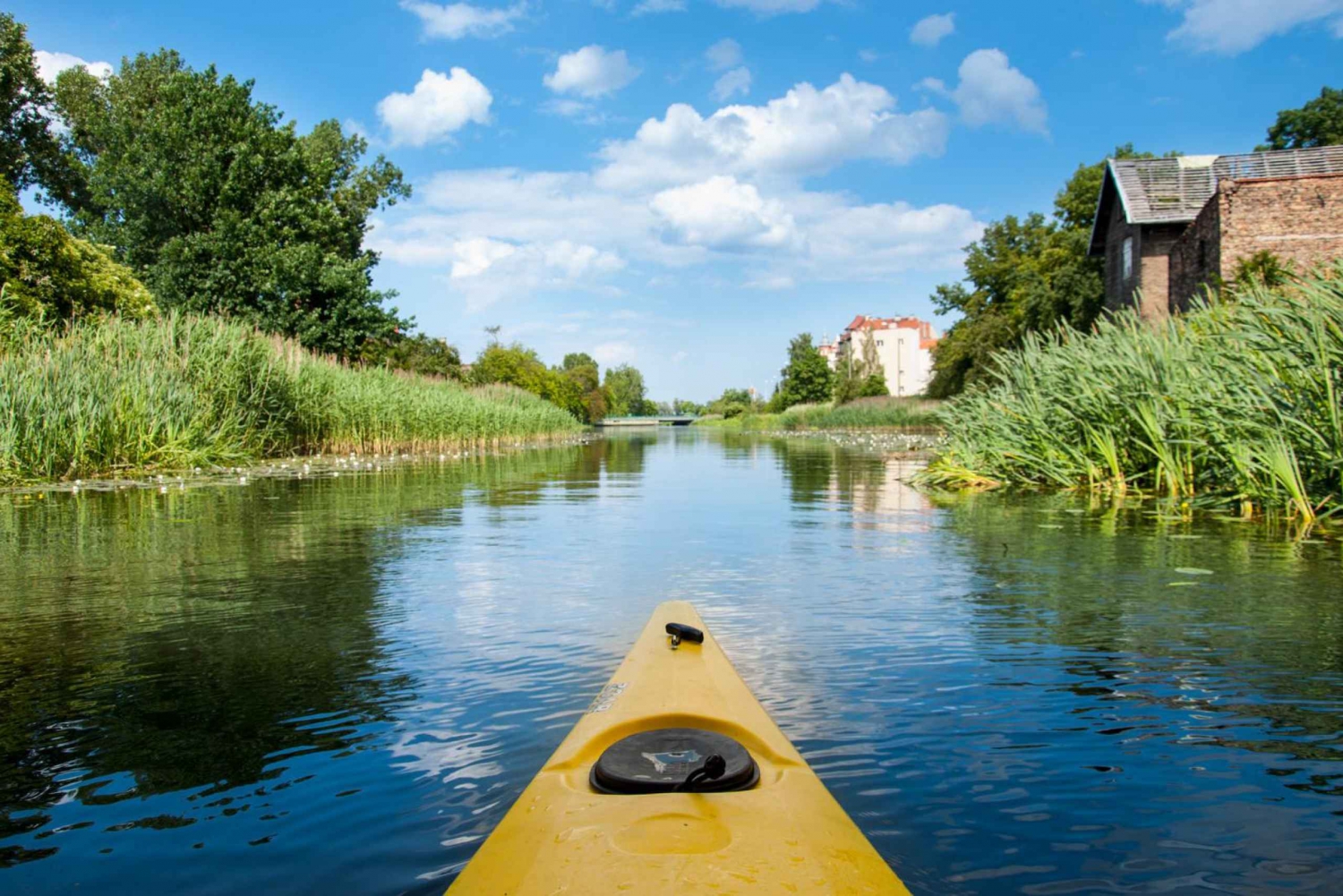 Gdańsk: Islands and Canals Private Kayak Tour