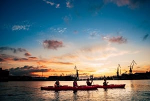 Gdańsk: Islands and Canals Private Kayak Tour