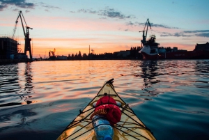 Gdańsk : visite privée en kayak des îles et des canaux