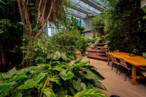 Gdańsk: Live Cuban Music and Oriental Food in tropics