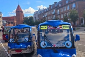 Gdańsk: passeio de Melex pela cidade principal e antiga com vinho quente