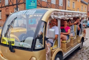 Gdansk:Private Beer City Tour Sightseeing By Golf Cart