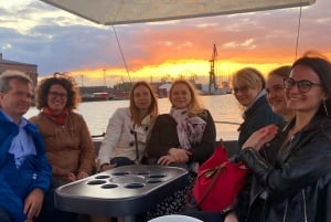 Gdańsk : croisière privée en bateau électrique sur la rivière Motława