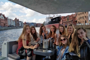 Gdańsk: Private Sightseeing Cruise on the Motława River