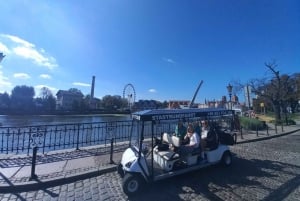 Gdansk: Tour privado de la ciudad en carro eléctrico y con guía en directo