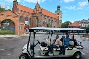 Gdansk : Visite privée de la ville en voiturette électrique et visite guidée en direct