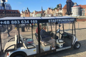Gdansk: Privat byrundtur med elektrisk vogn og live guide
