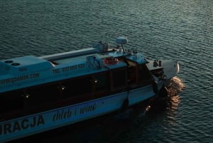Gdańsk : croisière fluviale sur la Motlawa avec boissons et nourriture en option