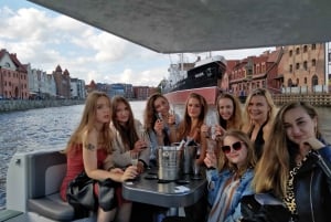 Gdańsk: Passeio turístico em EcoCruise pelo centro histórico de Gdansk