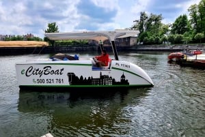 Gdańsk: Passeio turístico em EcoCruise pelo centro histórico de Gdansk