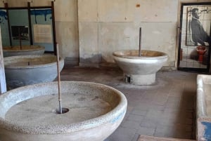 Gdansk: Stutthof Concentration Camp Regular Tour