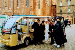 Gdansk: onbeperkte wijntour met eco-golfkar