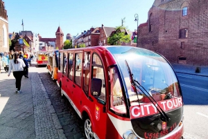 Gdansk: VIP-bytur med golfbil 2 timer + utsiktspunktet Gradowa Hill