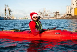 Gdansk : Excursion hivernale en kayak
