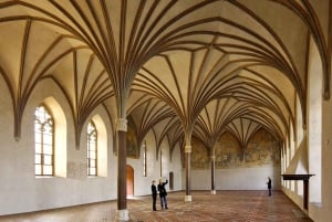Privat halvdagstur til Malbork slott