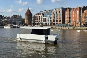 Nuevo - Tiny Party Boat - Casa flotante de Motława en Gdańsk