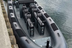 One of the fastest boats on Gdańsk Bay. Must check! in Sopot