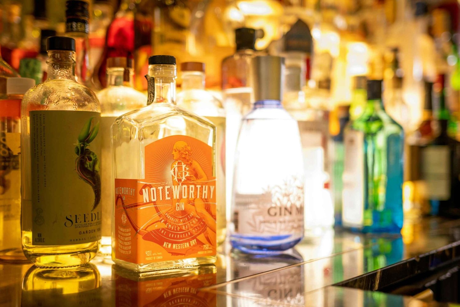 Polish Gin Tasting Tour in Gdansk