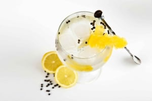 Polsk gin-smakingstur i Gdansk